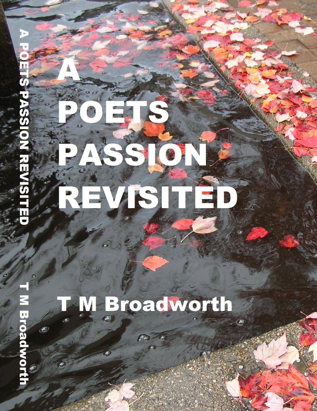 A Poets Passion Revisited by T M Broadworth